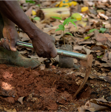 Man Working