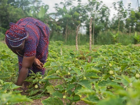 Improving the way farming is done
